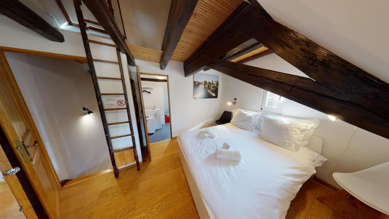 Spacious Duplex City Center 斯特拉斯堡 外观 照片