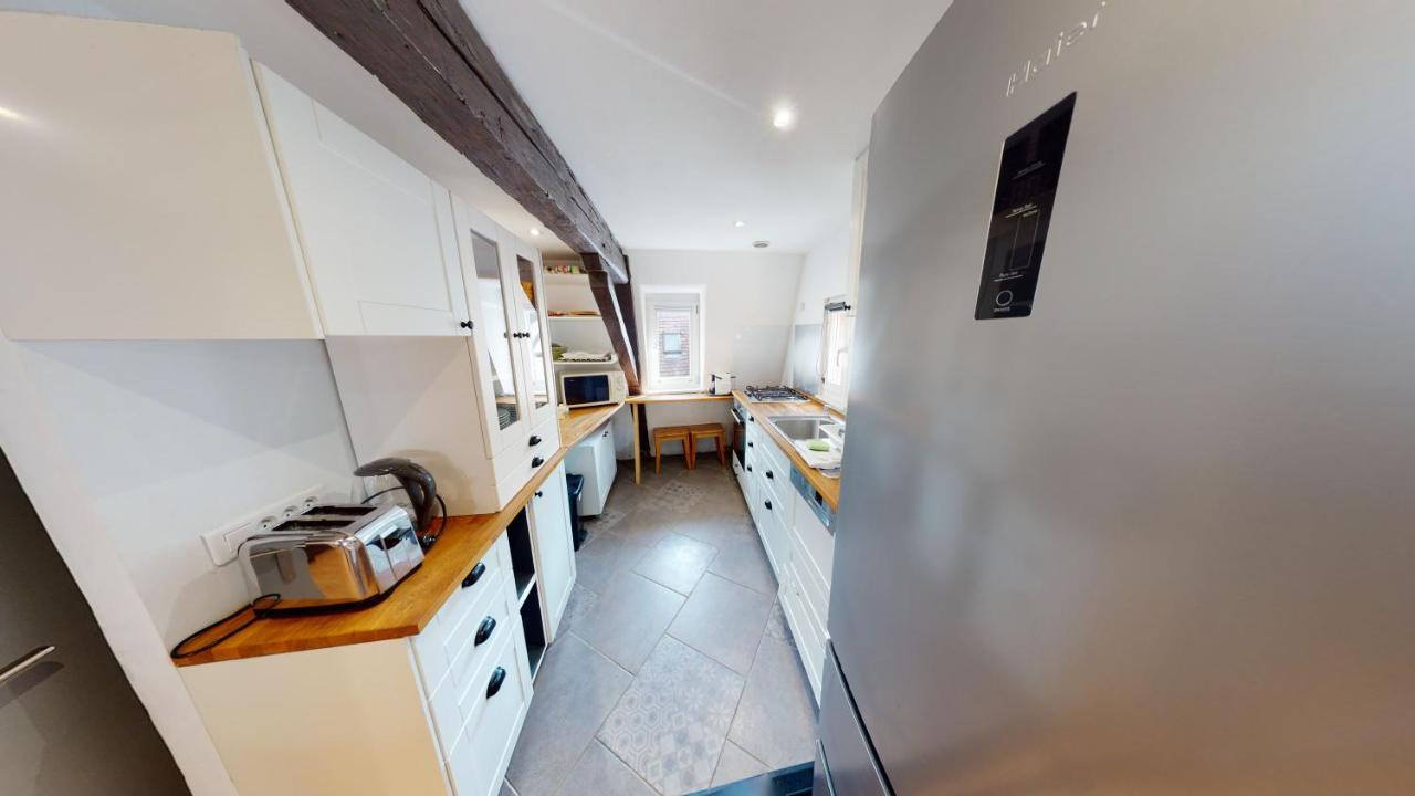 Spacious Duplex City Center 斯特拉斯堡 外观 照片