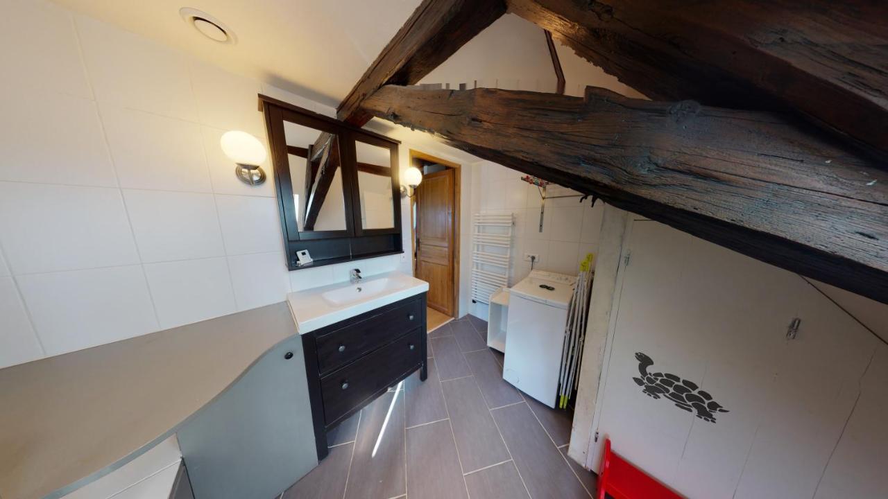 Spacious Duplex City Center 斯特拉斯堡 外观 照片